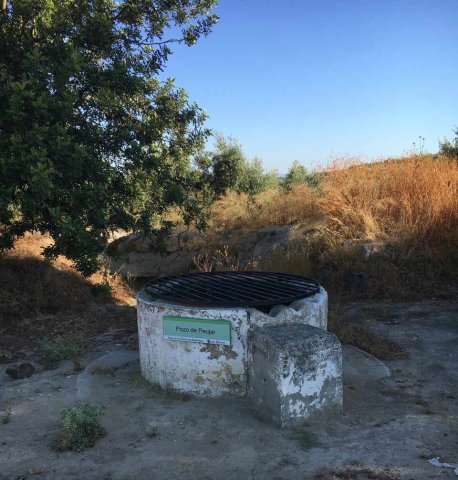 Pozo