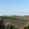 Horizonte